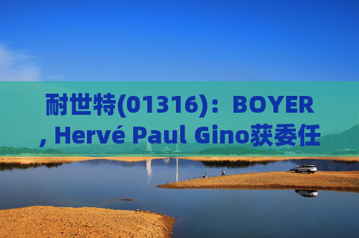 耐世特(01316)：BOYER, Hervé Paul Gino获委任为执行董事  第1张