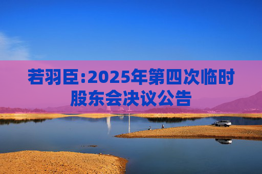 若羽臣:2025年第四次临时股东会决议公告