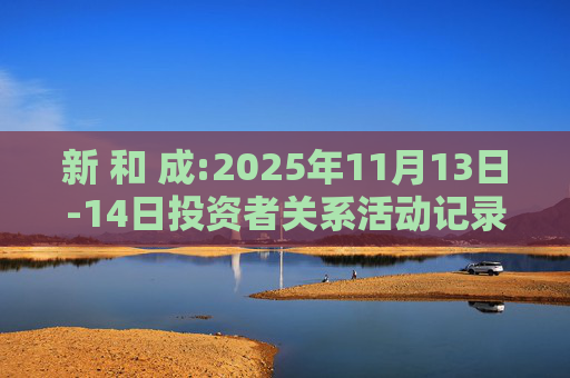 新 和 成:2025年11月13日-14日投资者关系活动记录表