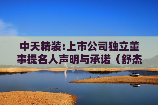 中天精装:上市公司独立董事提名人声明与承诺（舒杰敏）  第1张