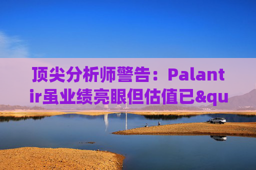 顶尖分析师警告：Palantir虽业绩亮眼但估值已"趋于完美"