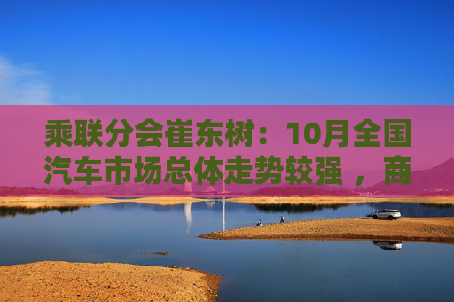 乘联分会崔东树：10月全国汽车市场总体走势较强 ，商用车市场现结构性增长  第1张