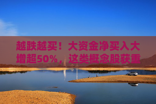 越跌越买！大资金净买入大增超50%，这类概念股获重点关注