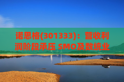 诺思格(301333)：营收利润阶段承压 SMO及数统业务保持稳健增长  第1张