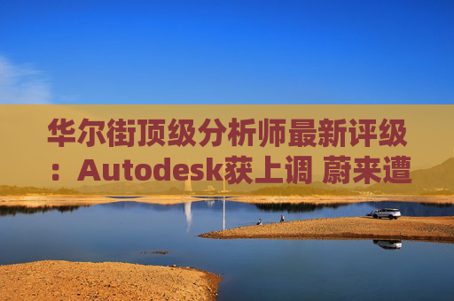 华尔街顶级分析师最新评级：Autodesk获上调 蔚来遭下调