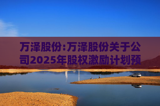万泽股份:万泽股份关于公司2025年股权激励计划预留授予限制性股票登记完成的公告