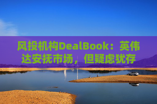 风投机构DealBook：英伟达安抚市场，但疑虑犹存