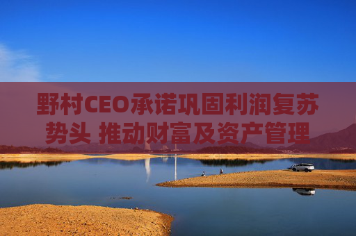 野村CEO承诺巩固利润复苏势头 推动财富及资产管理业务进入高增长阶段  第1张