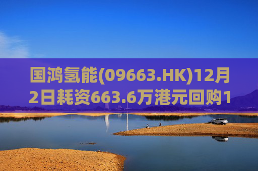 国鸿氢能(09663.HK)12月2日耗资663.6万港元回购128.6万股