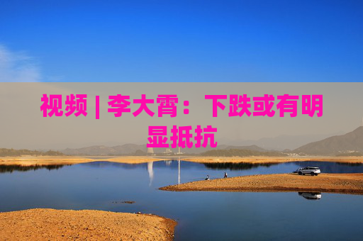 视频 | 李大霄：下跌或有明显抵抗