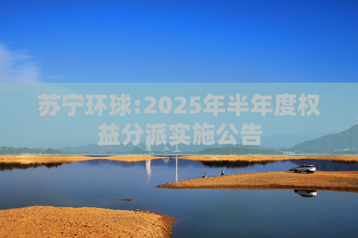 苏宁环球:2025年半年度权益分派实施公告
