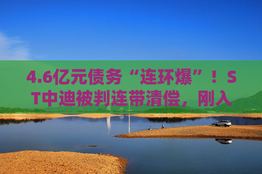 4.6亿元债务“连环爆”！ST中迪被判连带清偿，刚入主新东家迎艰难开局，核心资产恐将被强制拍卖  第1张