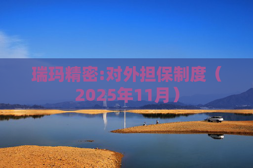 瑞玛精密:对外担保制度(2025年11月)