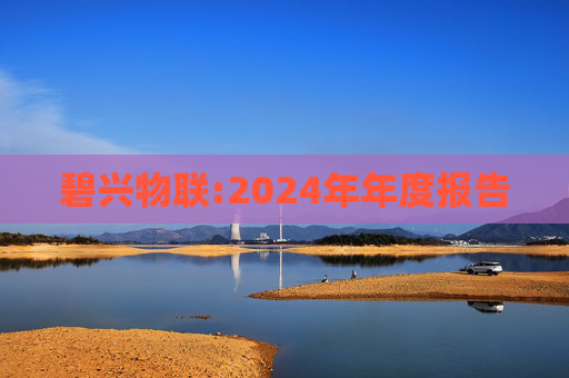 碧兴物联:2024年年度报告  第1张