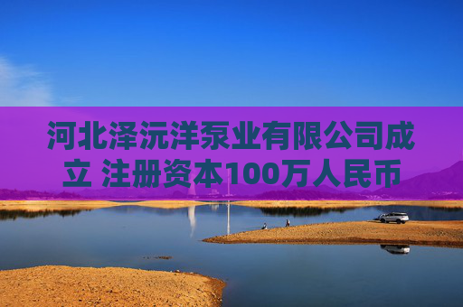 河北泽沅洋泵业有限公司成立 注册资本100万人民币  第1张