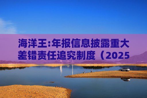 海洋王:年报信息披露重大差错责任追究制度（2025年12月）