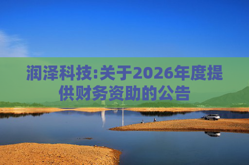 润泽科技:关于2026年度提供财务资助的公告