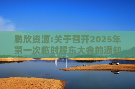鹏欣资源:关于召开2025年第一次临时股东大会的通知