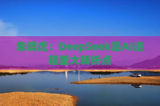 朱啸虎：DeepSeek是AI进程重大转折点