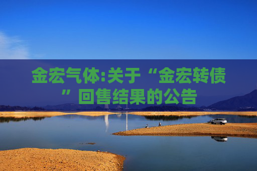 金宏气体:关于“金宏转债”回售结果的公告