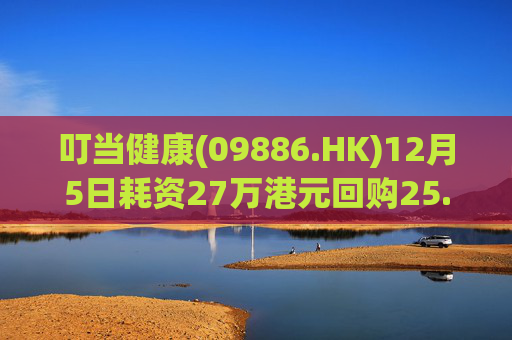 叮当健康(09886.HK)12月5日耗资27万港元回购25.5万股  第1张