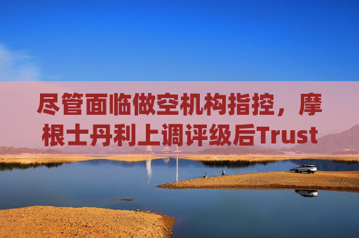 尽管面临做空机构指控，摩根士丹利上调评级后Trustpilot股价飙升  第1张