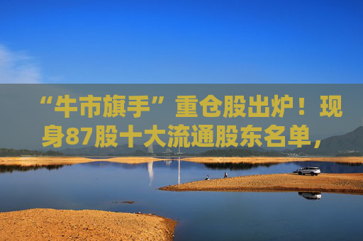 “牛市旗手”重仓股出炉！现身87股十大流通股东名单，新进46股  第1张