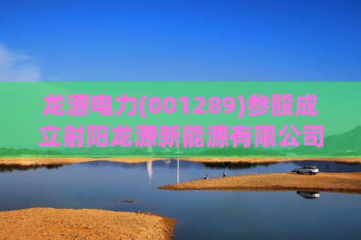龙源电力(001289)参股成立射阳龙源新能源有限公司,持股比例31%
