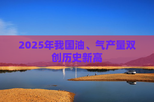 2025年我国油、气产量双创历史新高