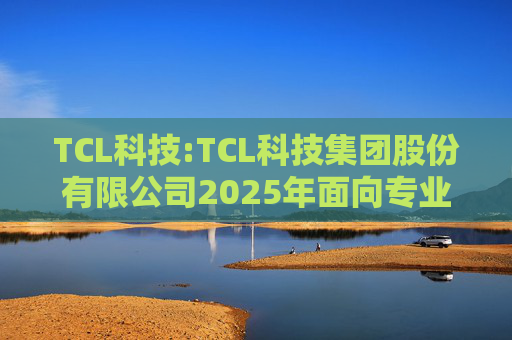 TCL科技:TCL科技集团股份有限公司2025年面向专业投资者公开发行科技创新公司债券（数字经济）（第一期）发行公告