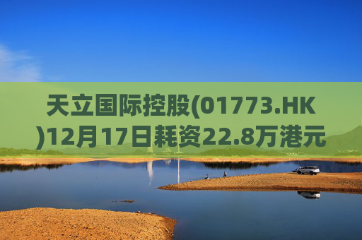 天立国际控股(01773.HK)12月17日耗资22.8万港元回购10万股