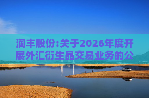 润丰股份:关于2026年度开展外汇衍生品交易业务的公告  第1张