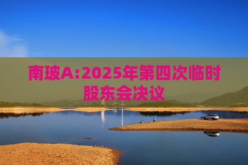 南玻A:2025年第四次临时股东会决议