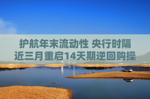 护航年末流动性 央行时隔近三月重启14天期逆回购操作