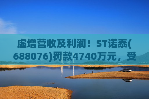 虚增营收及利润！ST诺泰(688076)罚款4740万元，受损投资者可索赔！