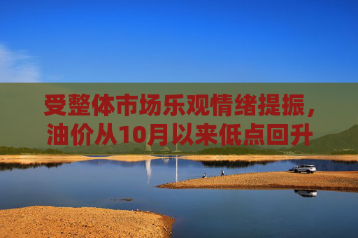 受整体市场乐观情绪提振,油价从10月以来低点回升