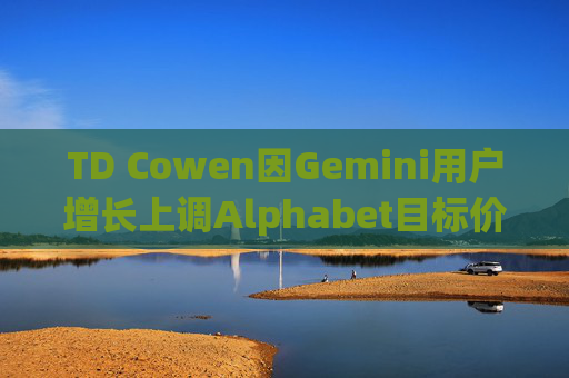 TD Cowen因Gemini用户增长上调Alphabet目标价
