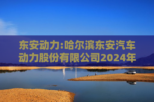 东安动力:哈尔滨东安汽车动力股份有限公司2024年度内部控制审计报告