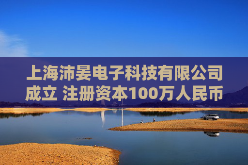 上海沛晏电子科技有限公司成立 注册资本100万人民币