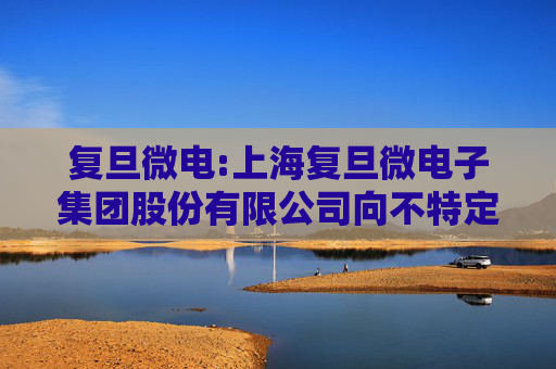 复旦微电:上海复旦微电子集团股份有限公司向不特定对象发行可转换公司债券证券募集说明书（注册稿之2024年度财务数据更新版）