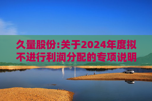 久量股份:关于2024年度拟不进行利润分配的专项说明