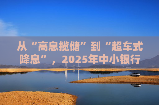 从“高息揽储”到“超车式降息”，2025年中小银行大幅下调存款利率｜2025中国经济年报