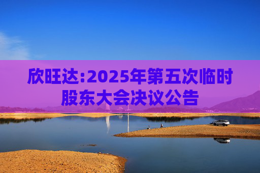 欣旺达:2025年第五次临时股东大会决议公告
