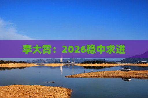 李大霄：2026稳中求进