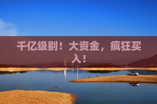 千亿级别！大资金，疯狂买入！