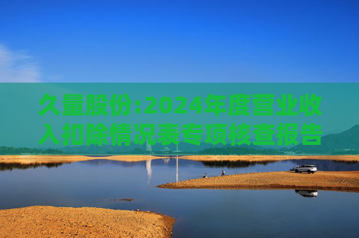 久量股份:2024年度营业收入扣除情况表专项核查报告  第1张