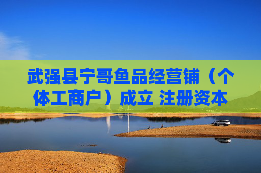 武强县宁哥鱼品经营铺（个体工商户）成立 注册资本5万人民币