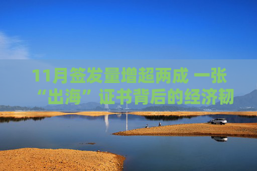 11月签发量增超两成 一张“出海”证书背后的经济韧性  第1张