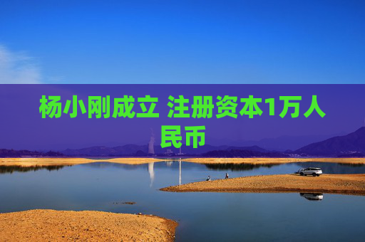 杨小刚成立 注册资本1万人民币  第1张