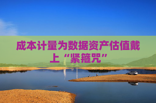 成本计量为数据资产估值戴上“紧箍咒”